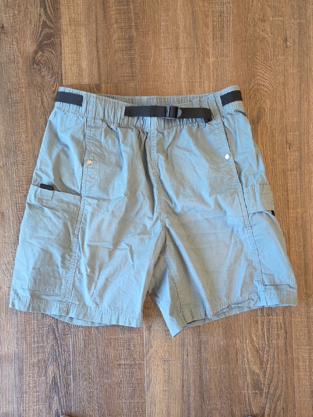 The North Face Men's Small Ripstop Cargo Easy Shorts Light Sage with Black Belt